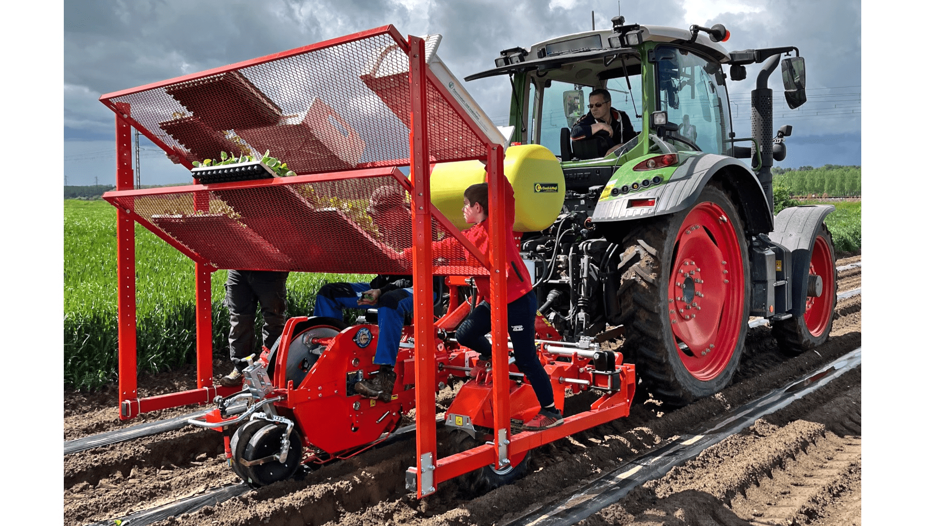 checchi-magli-smartwolf-trasplante-hortalizas|checchi-magli-smartwolf-trasplante-hortalizas|checchi-magli-smartwolf-trasplante-hortalizas